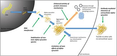 Emerging Treatment Approaches for Parkinson’s Disease